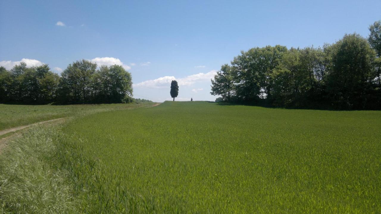 Appartamento Miralago Bolsena Luaran gambar