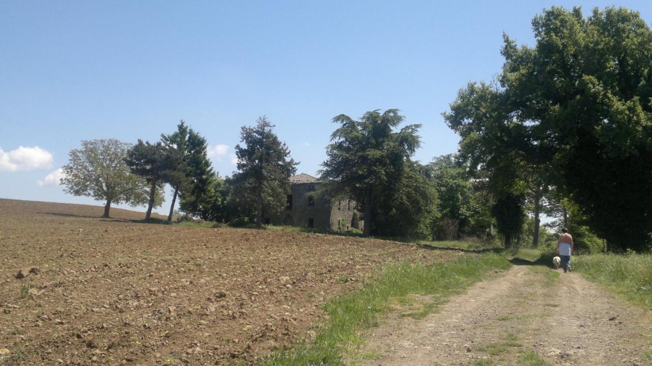 Appartamento Miralago Bolsena Luaran gambar